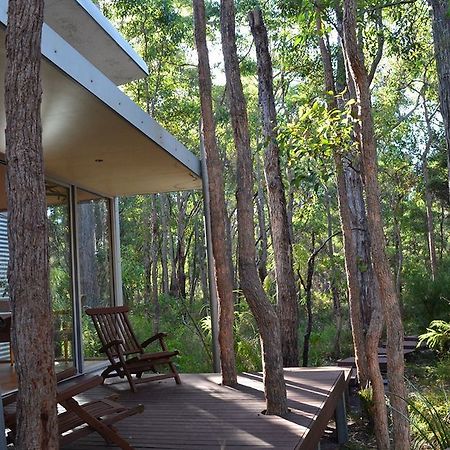 קארבונופ Hidden Valley Forest Retreat מראה חיצוני תמונה